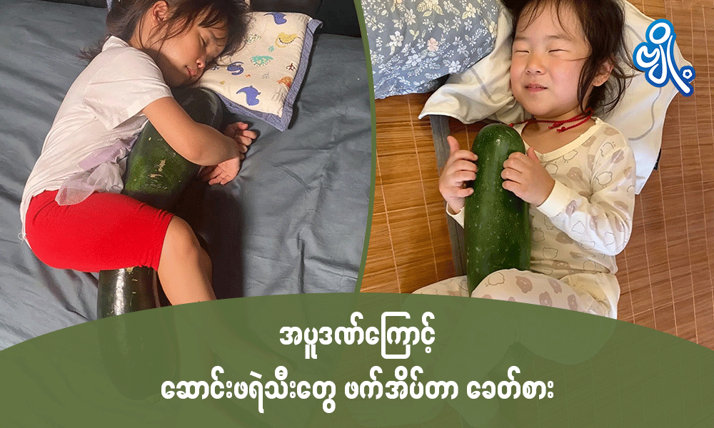 အပူဒဏ်ကြောင့် ဆောင်းဖရဲသီးတွေ ဖက်အိပ်တာ ခေတ်စား . . .