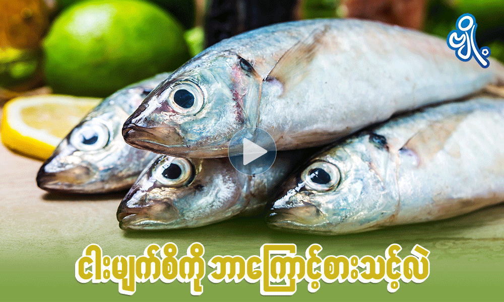 ငါးမျက်စိကို ဘာကြောင့်စားသင့်လဲ